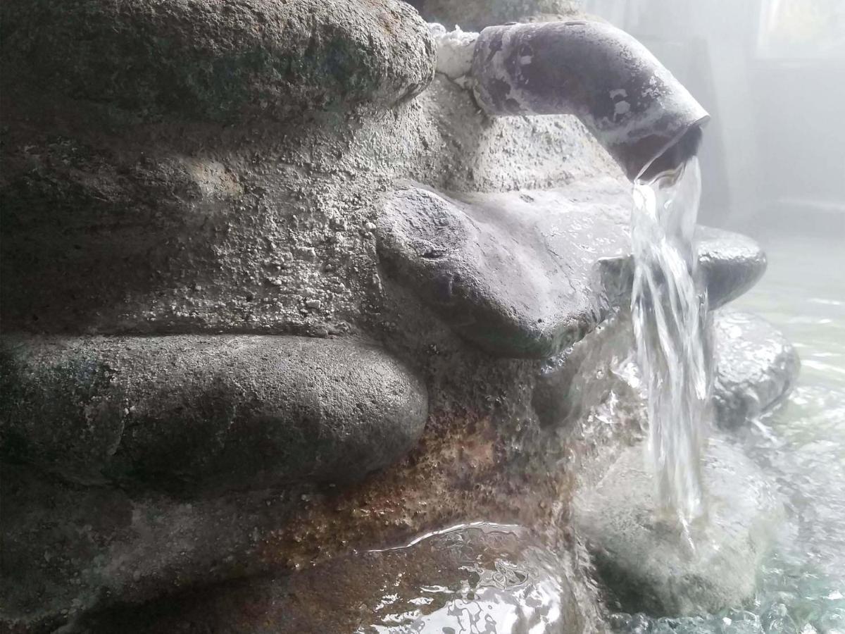 فندق أوشوكو أونسن أوجيسو Shizukuishi المظهر الخارجي الصورة